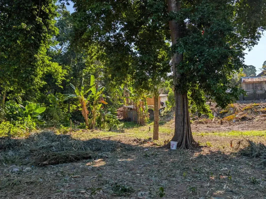 Leasehold - Riverside Land with Mature Trees & Ready Infrastructure in Canggu, Bali - Image 8 of 10