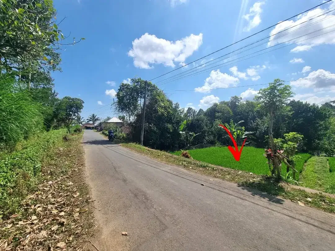 Tanah Tegalallang Ubud Pemandangan Sawah dan Sungai Kecil - Image 10 of 10