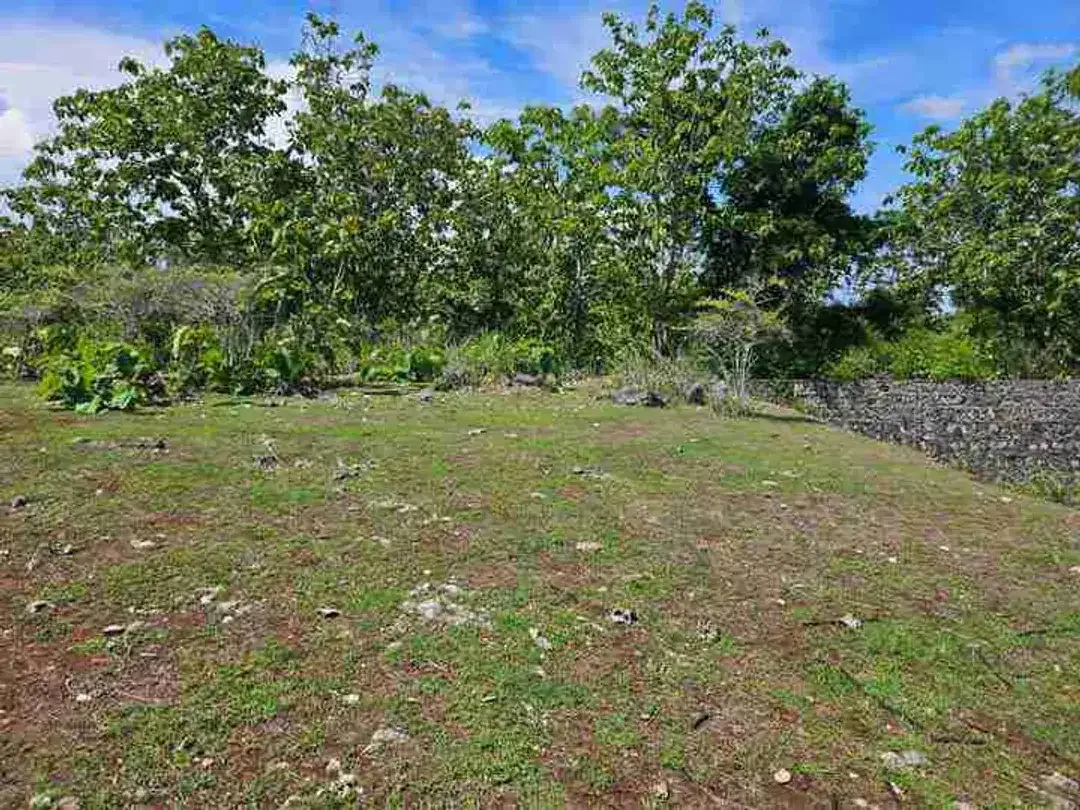 dijual tanah 2,05 hektar IDR 500 juta per are  kawasan pantai balangan jimbaran badung bali - Image 6 of 10