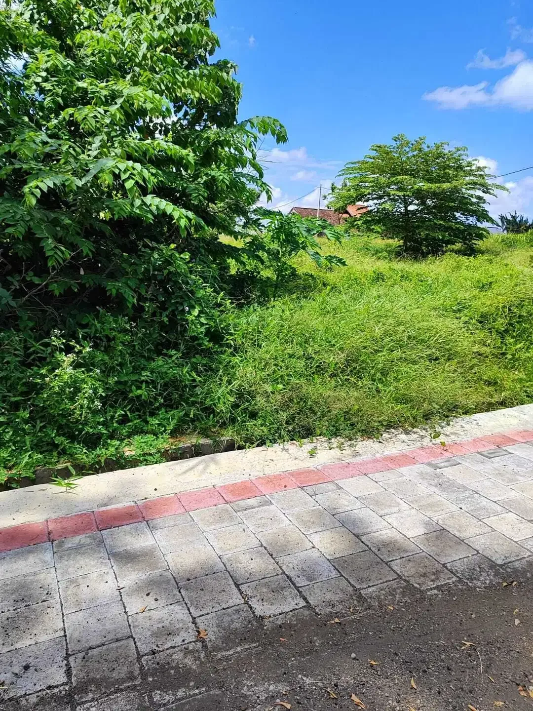 Dijual Kavling kecil Nyitdah Kedungu Tabanan Mulai 126 m2 - 224 m2 - Image 2 of 3