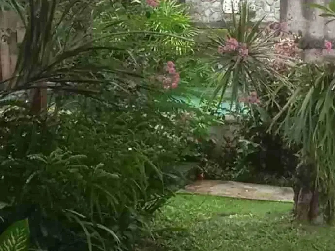 Luxury Villa Classic 10 Menit ke Sanur Dekat Living World - Image 6 of 10