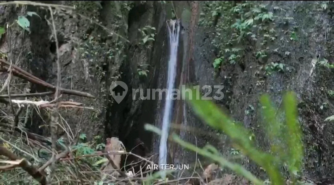 Tanah Dijual.second Payangan.ubud - Image 2 of 4