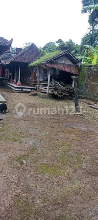 Ruko + Rumah - Jl Denpasar Raya - Mengwi - Badung - Bali - Image 3 of 4
