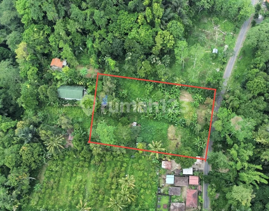 Dijual Lahan Murah di Taro Gianyar View Hutan - Image 1 of 4