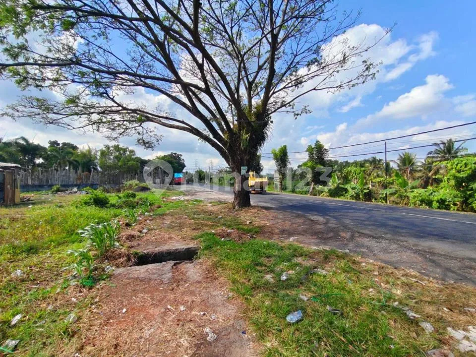Rare Commercial Land On The Main Denpasar-Gilimanuk, Tabanan Bali - Image 3 of 4