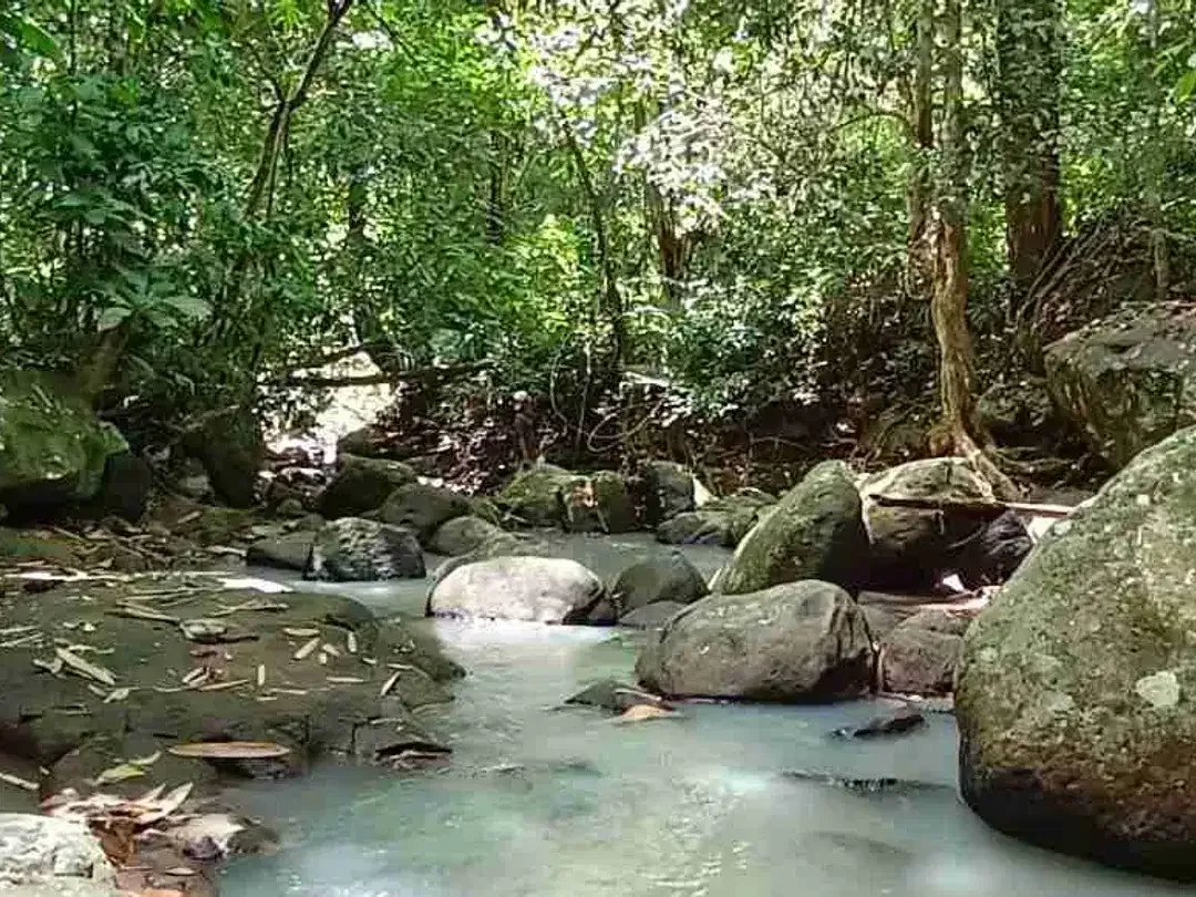 jual tanah kebun Los sungai murah di tabanan bali - Image 1 of 10
