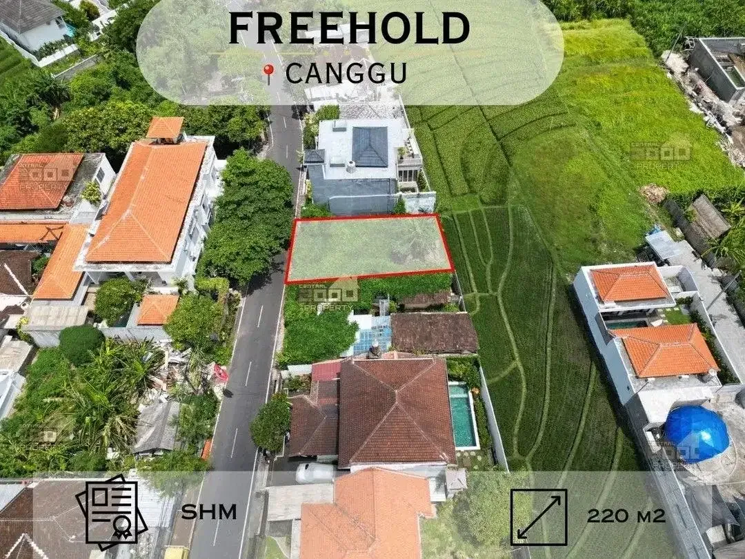 Freehold Land Canggu – Lokasi Strategis & Scenic Ricefield View - Image 1 of 10