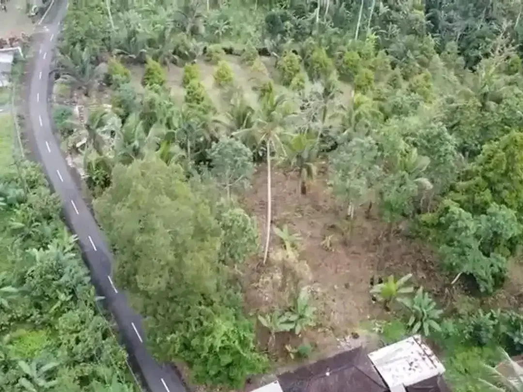 Tanah kebun di Gn Salak Selemadeg Timur Tabanan Dkt Eco Bali Stay Manca Restasurant - Image 4 of 7