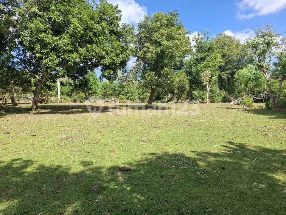 Tanah Premium Dekat Pantai Balangan Cocok Dibangun Villa - Image 4 of 4