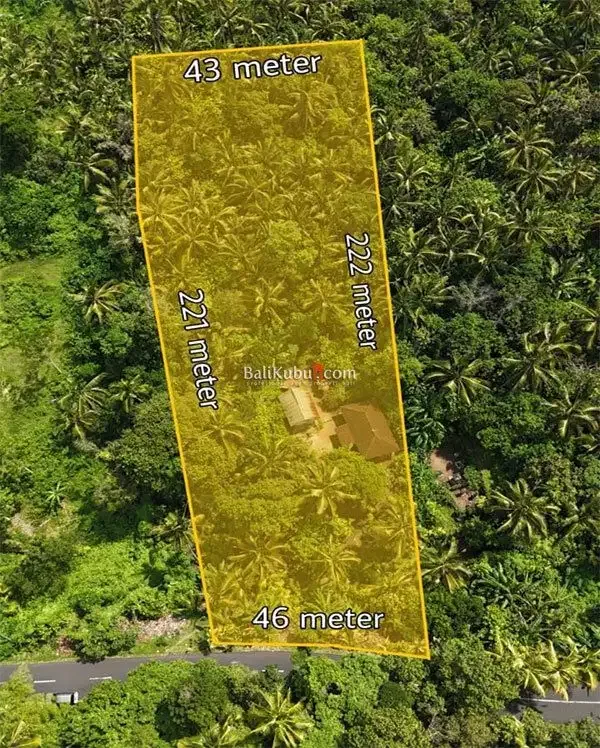 [AMS-015.KWN] Jual Tanah Kebun 1 Ha di Jl Surabrata Selemadeg Tabanan - Image 4 of 7