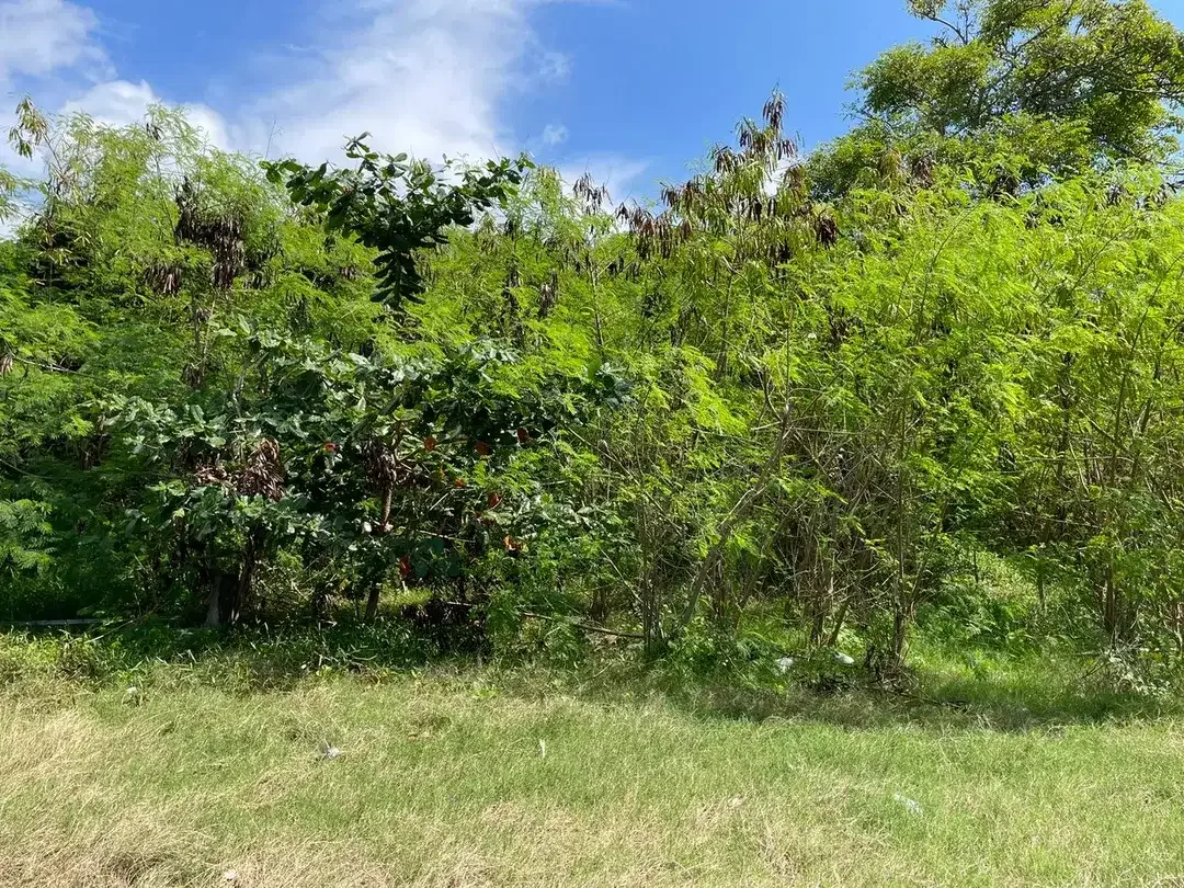 Beach Front Land for Sale Freehold Benoa Beach - Image 2 of 9