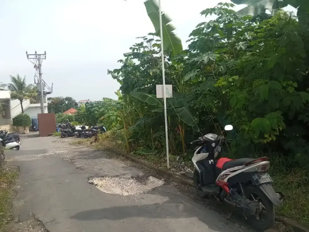 DIJUAL TANAH CENTRAL BATU BOLONG, CANGGU - BALI - Image 2 of 7