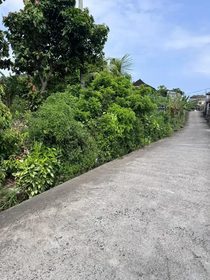 35mnit to Canggu BUC 300m2 - Image 1 of 5