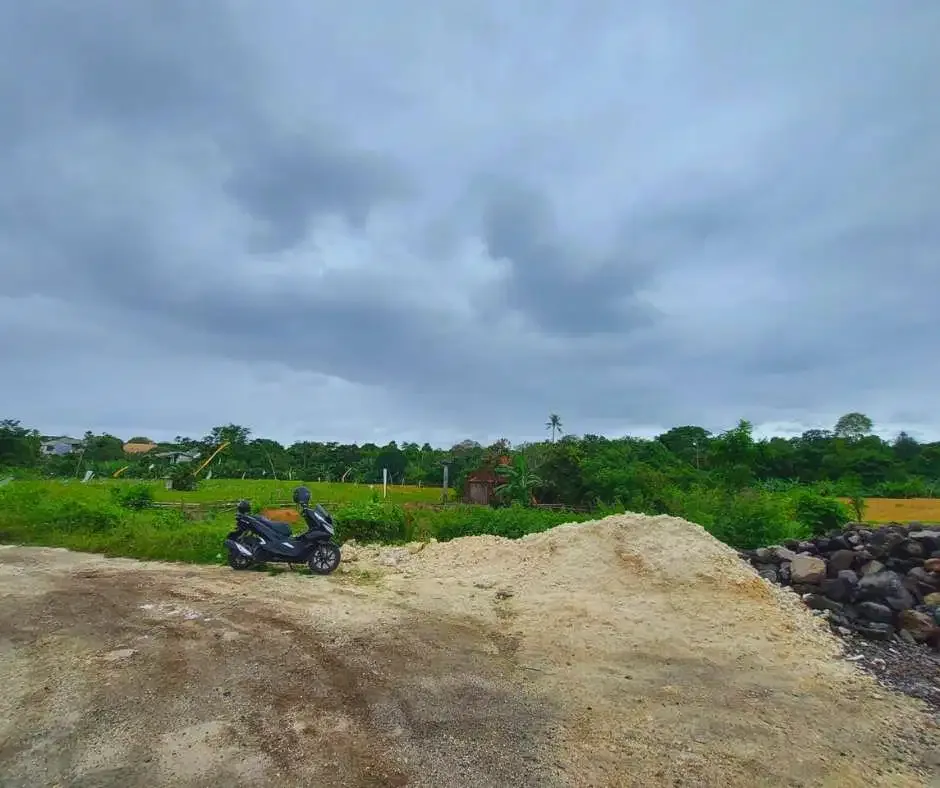 FOR SALE LAND WITH RICE FIELD VIEW AT BERAWA CANGGU - Image 8 of 10