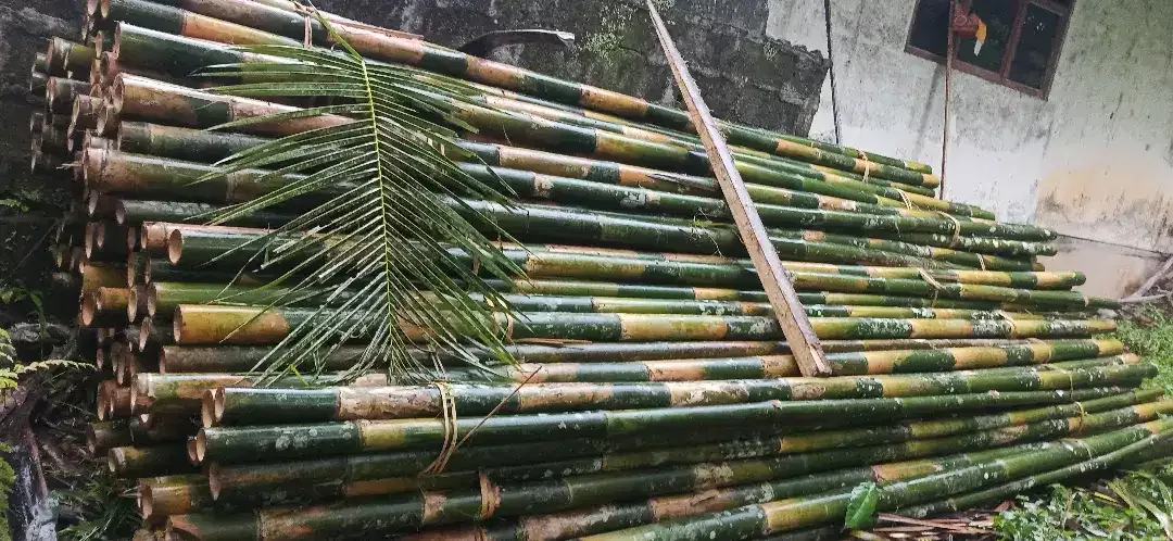 Dijual kayu lokal - Image 10 of 10