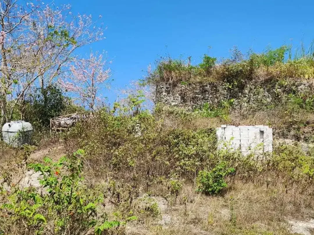 Turun Harga! Tanah Bonus Villa Mangkrak Ocean View di Belimbingsari Balangan - Image 10 of 10