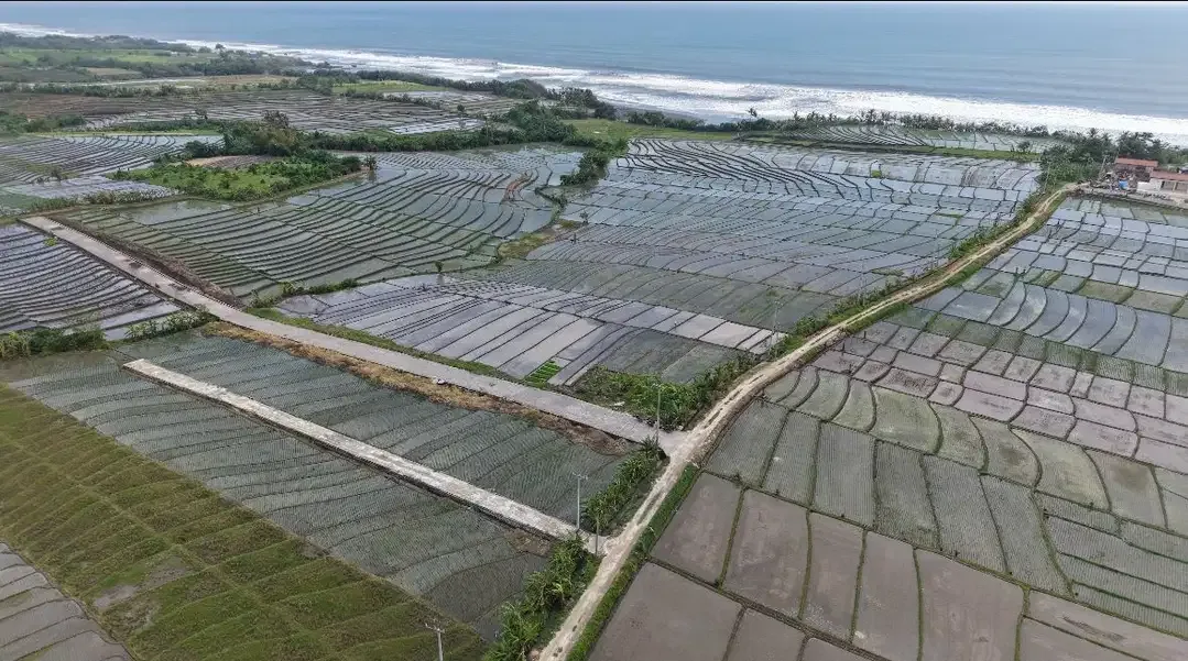 2 Kavling terakhir di pantai pasut Tabanan - Image 3 of 7