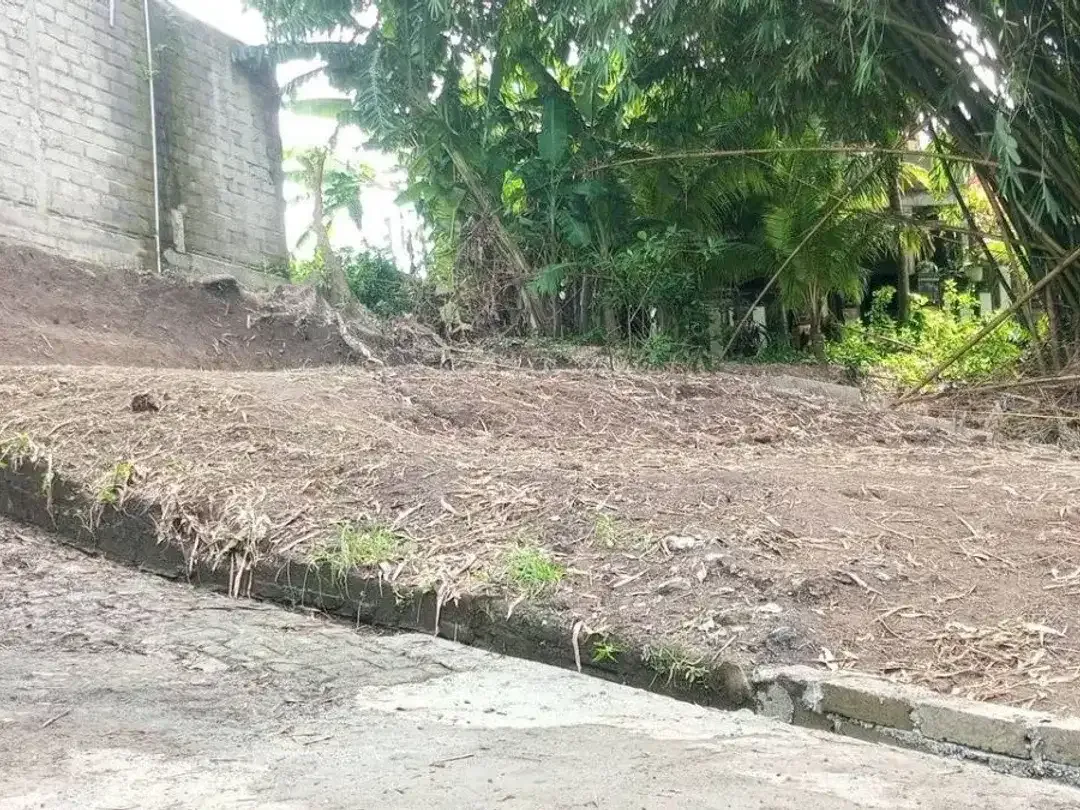 Dijual Tanah Strategis di Kewetel – Cocok untuk Rumah maupun Investasi - Image 6 of 6