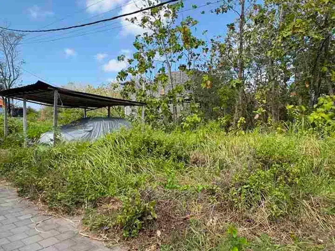 Dijual Murah Tanah 125m2 Di Jimbaran Bali - Image 6 of 6