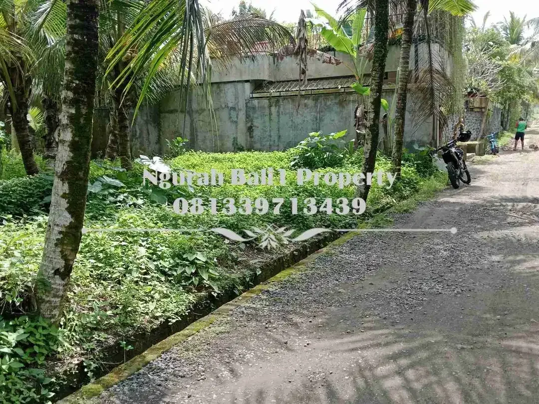 Dijual Tanah Murah Luas 4 Are Kawasan Villa di Ubud Pejeng - Image 2 of 5