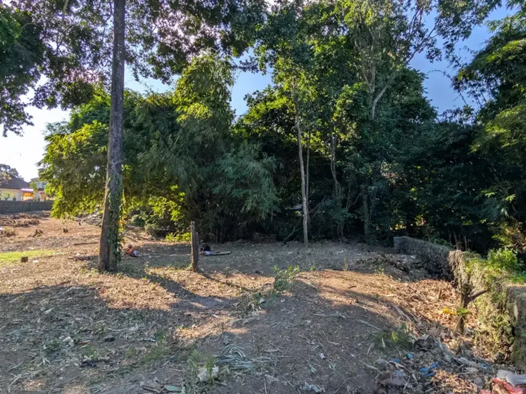 Leasehold - Riverside Land with Mature Trees & Ready Infrastructure in Canggu, Bali - Image 10 of 10