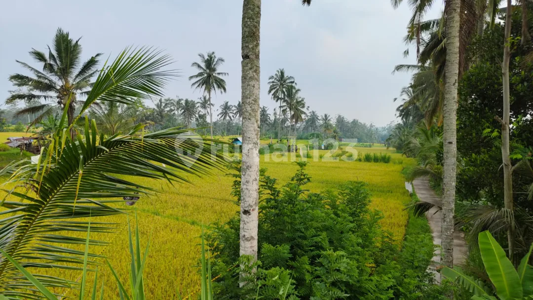 Dijual Tanah View Cantik Cocok Untuk Hotel Villa Dan Resort - Image 3 of 4