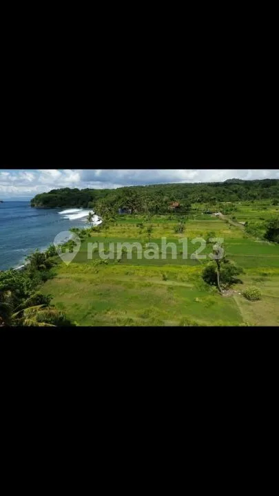 Dijual Tanah 2 Hektar Front Beach Virgin - Image 1 of 4