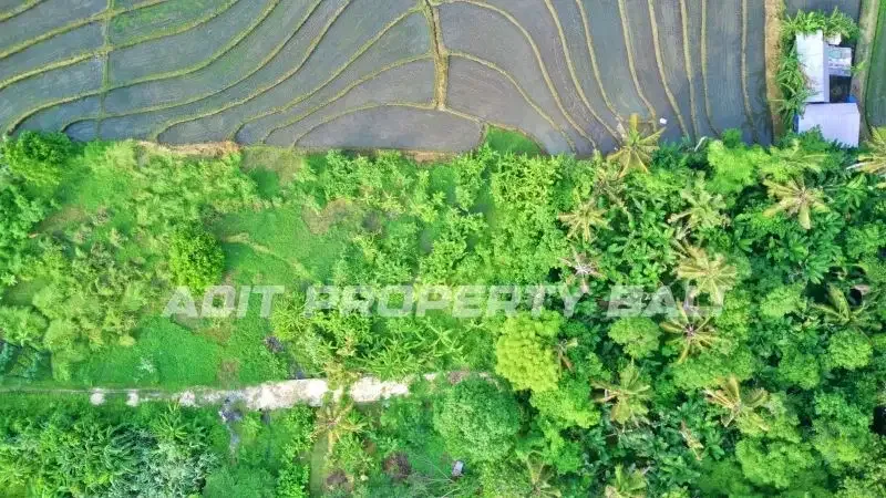 Tanah View Sawah Pantai Nyanyi Kediri Tabanan - Image 3 of 10