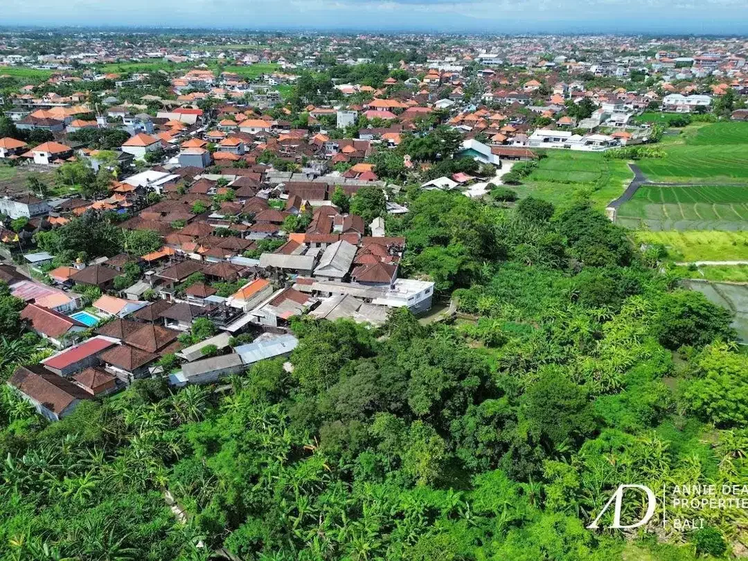 FREEHOLD & LEASEHOLD LAND OPPORTUNITY IN PADONAN - CANGGU - Image 3 of 10