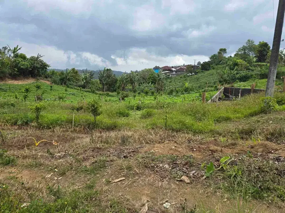 Dijual tanah kecil di.lingkungan villa kintamani bali - Image 2 of 10