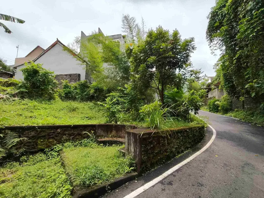 Yellow Zone Land close Nirmala Ungasan and Main Road Balangan Beach - Image 2 of 6