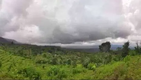 DIJUAL TANAH COCOK UNTUK INVESTASI DI BULELENG - Image 4 of 5