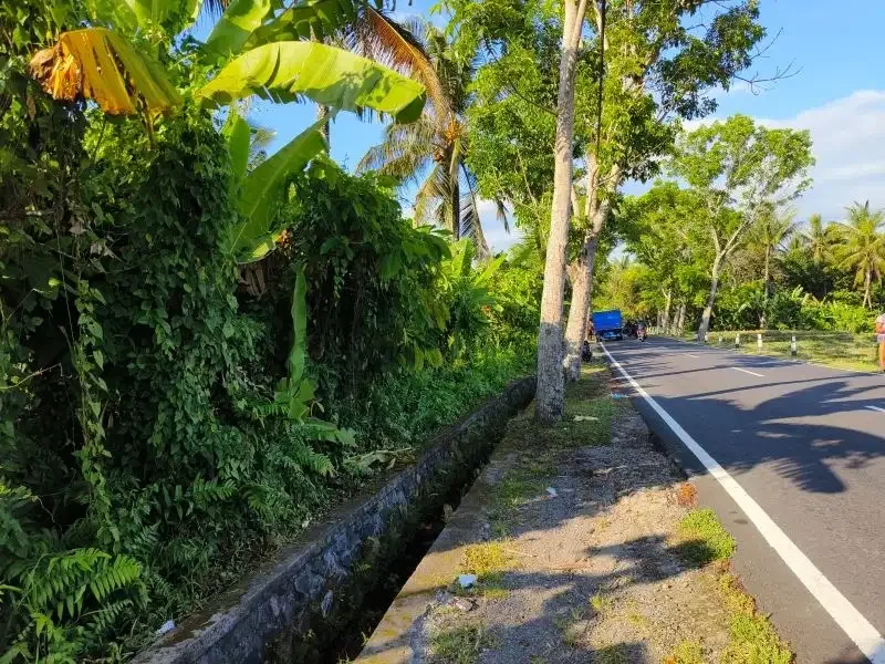 tanah murah datar view sawah akse s jalan propinsi di bali - Image 10 of 10