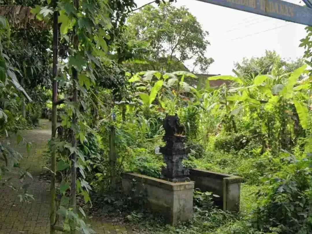 tanah bagus sangat cocok di bangun villa - Image 3 of 7