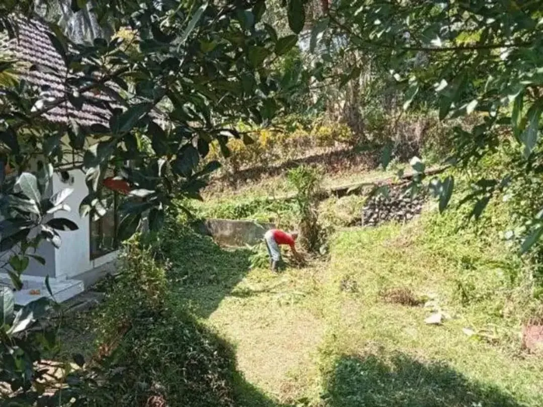 TANAH BONUS BANGUNAN DI KETIMA TABANAN - Image 3 of 9