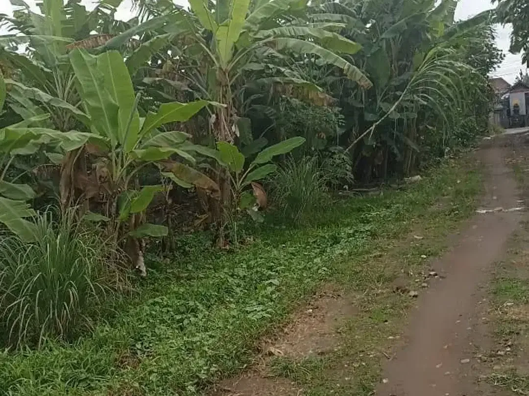 Land for sale in Mengwi, Bali - Image 4 of 4