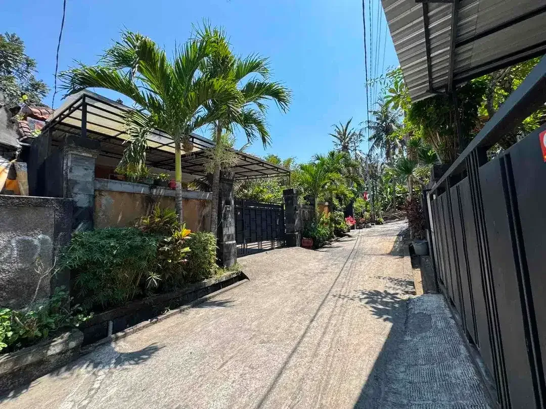 Dijual Tanah 2,5 Are Di Jalan Cekomaria Denpasar Utara - Image 7 of 7