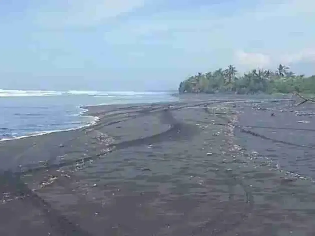 Tanah Los Pantai Pasut Tabanan View Laut dan Sawah - Image 3 of 8
