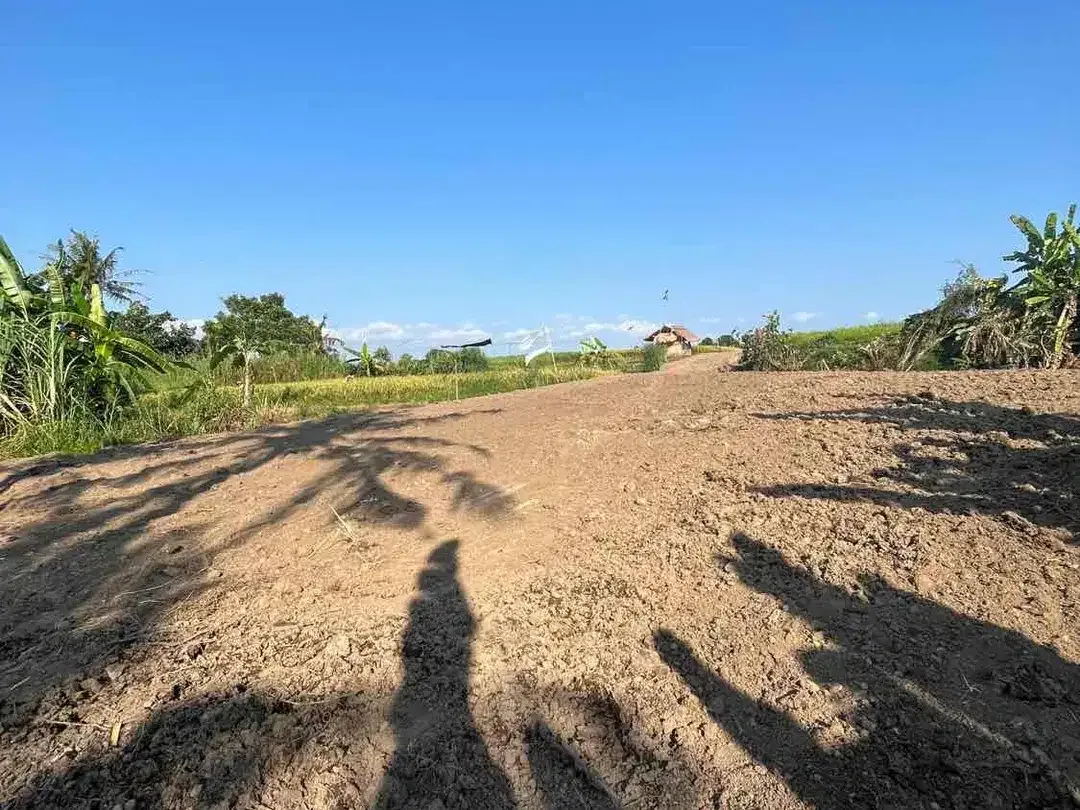 Dijual Tanah Super BUC 200 Meter Dari Pantai Kedungu - Image 1 of 7
