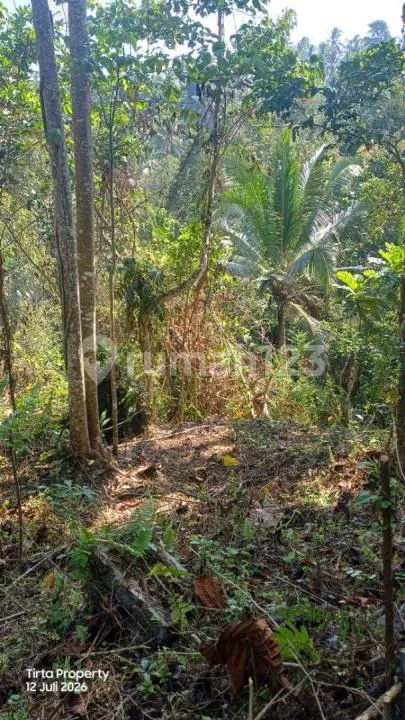 Tanah, Strategis SHM, Desa Gadungan Selemadeg Timur - Image 3 of 4