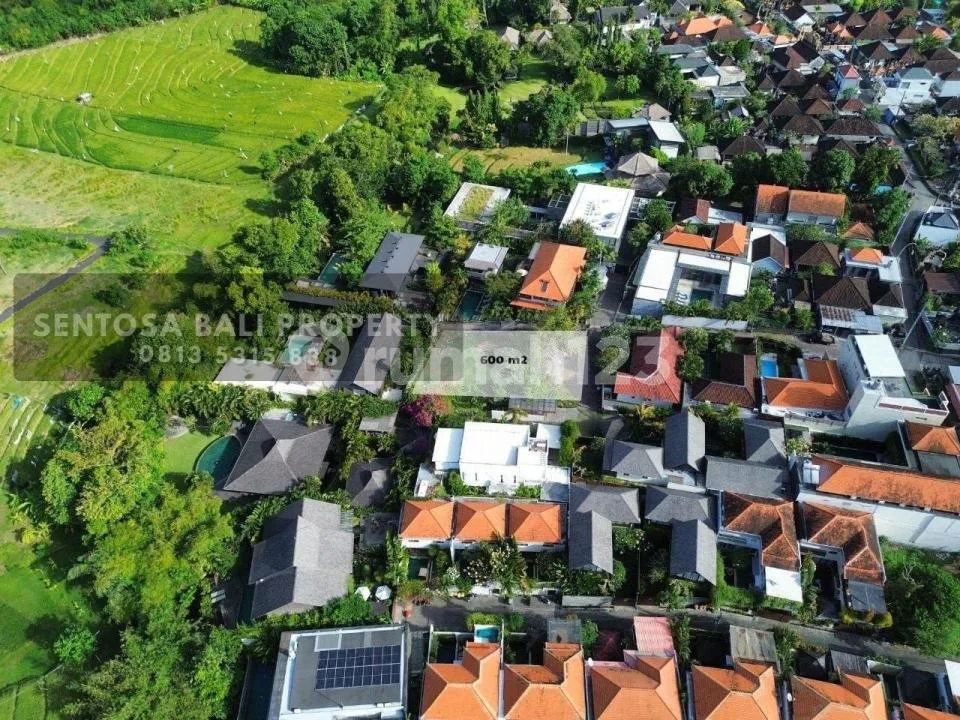 Freehold Land Sale 600M2 In Pererenan Canggu - Image 2 of 4