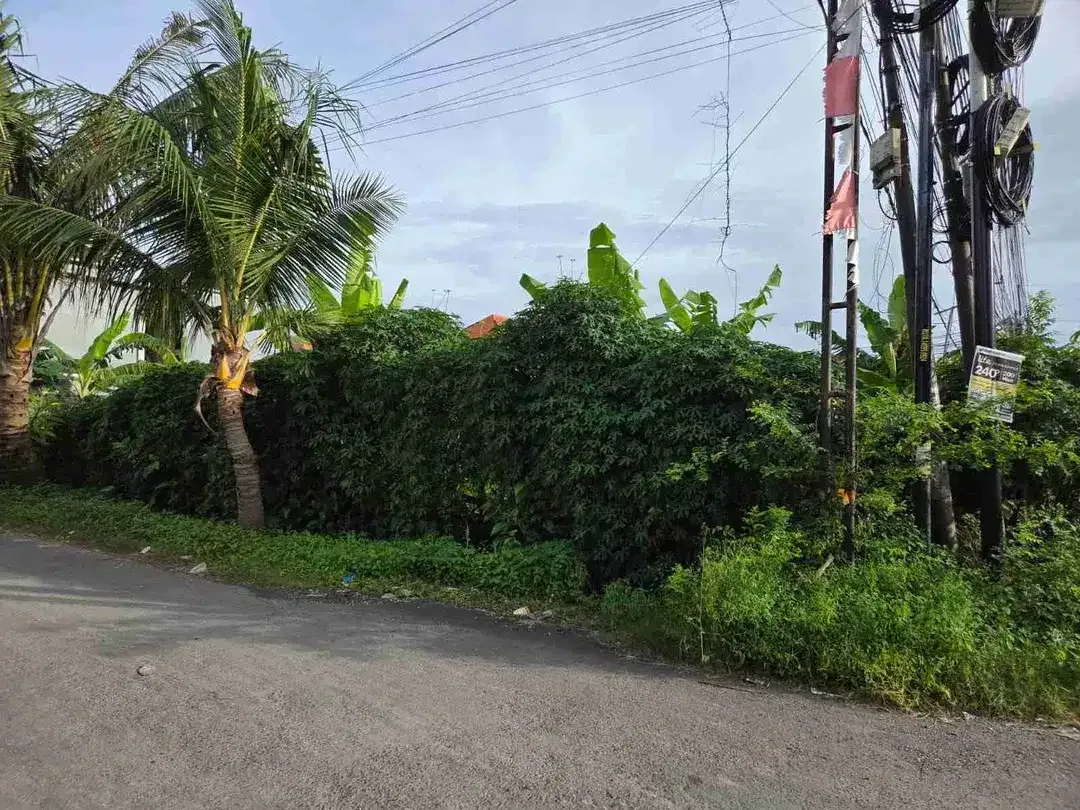 Tanah - Image 6 of 10