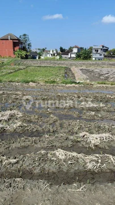 Dijual Kavling SHM Siap Bangun di Buduk - Mulai 100 MÂ² - View Sawah - Cash & Kredit - Image 4 of 4