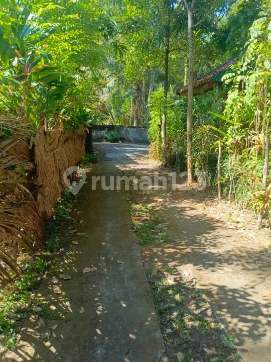 Beachfront Land 16 Are Pinggir Pantai Tejakula Buleleng Bali - Image 3 of 4