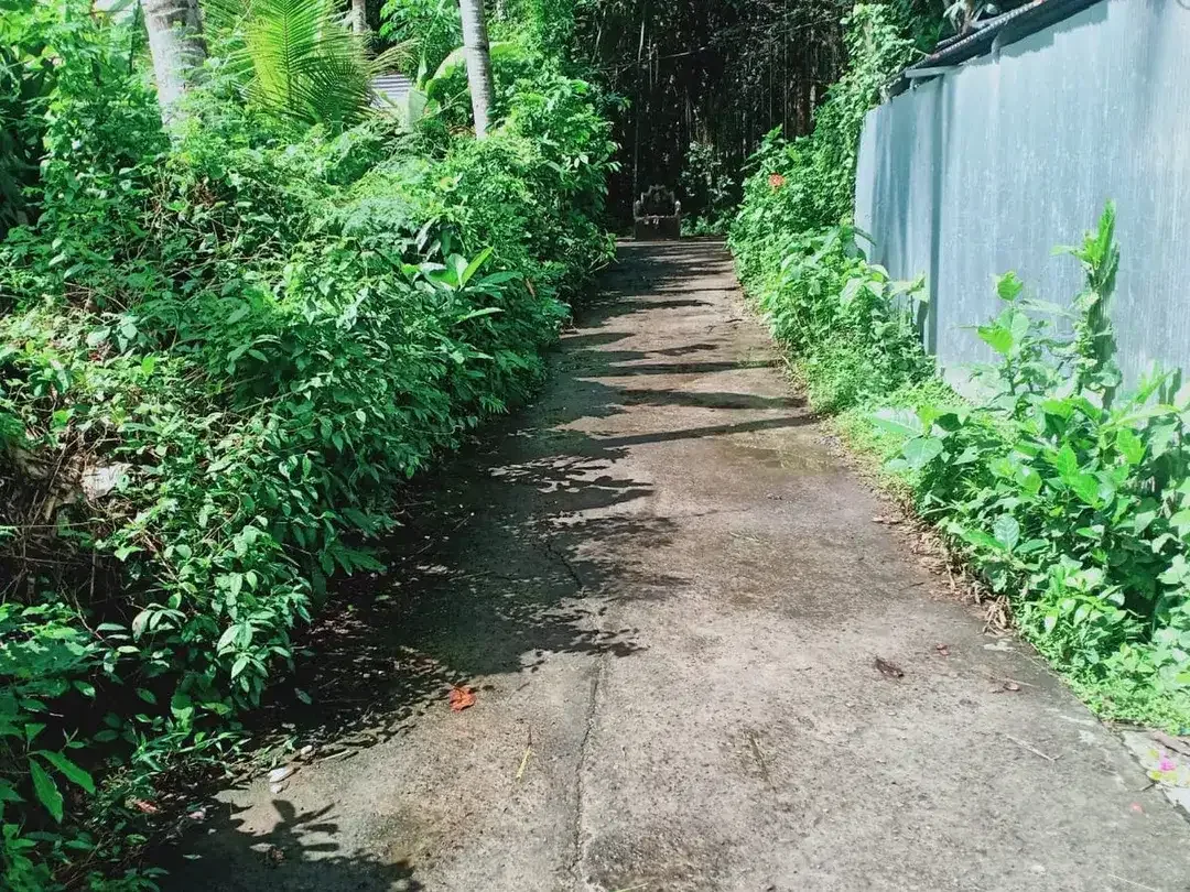 Leasehold - Land Near Kaba-Kaba,Tabanan- Perfect for Villa Development - Image 2 of 6
