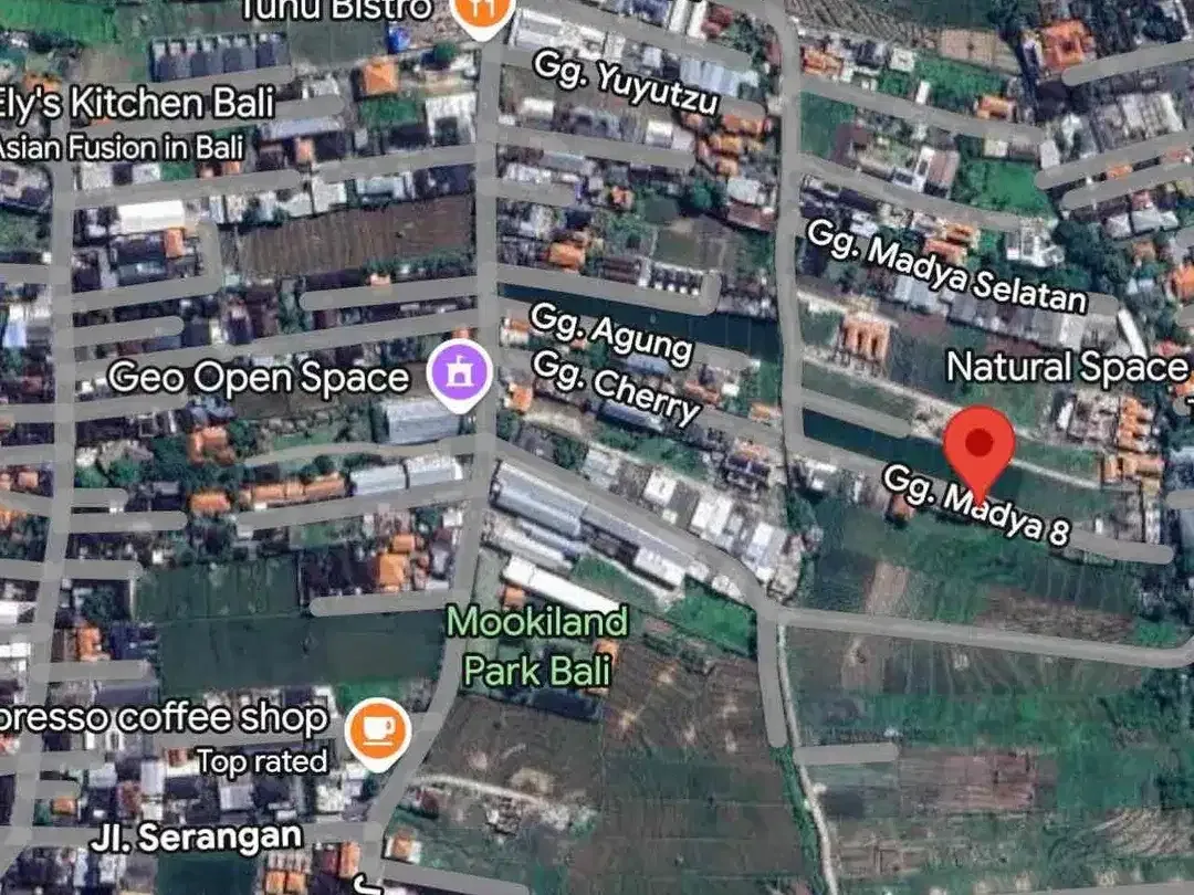 Dijual Lahan Luasan Kecil dgn View sawah satu2nya lokasi area Jln Kedampang- Kerobokan - Image 7 of 8