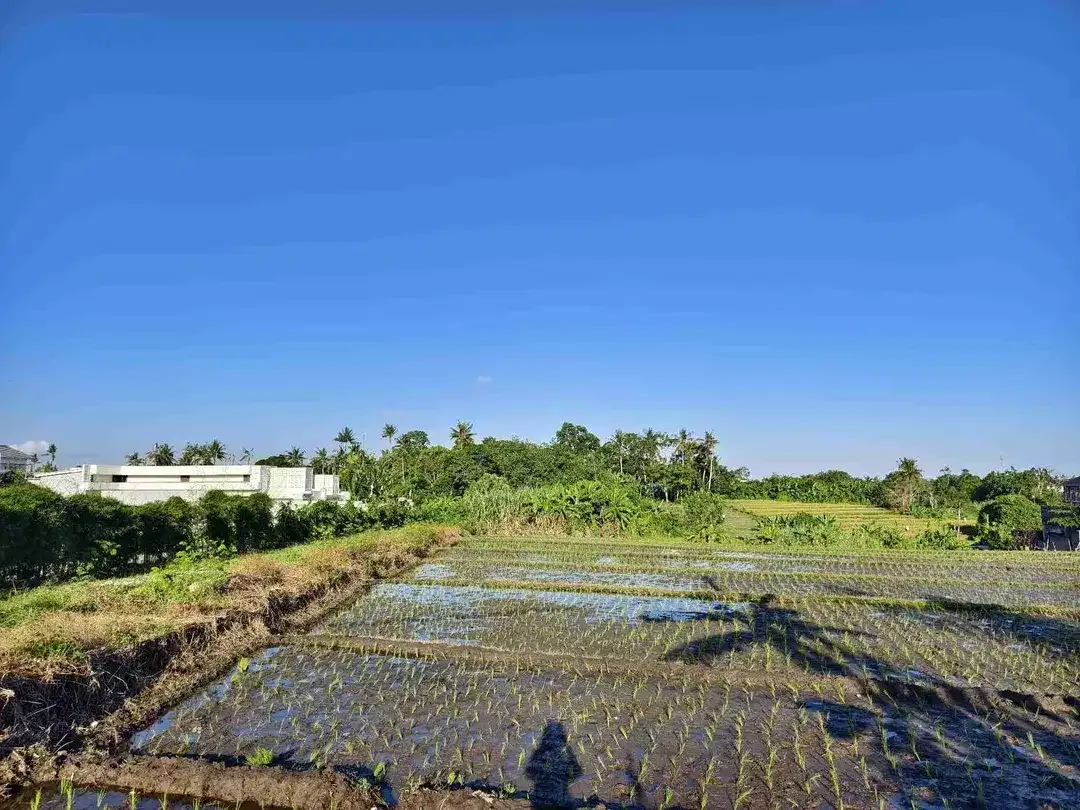 Tanah Komersial 1000m² View Sawah Dekat Pantai Nyanyi - Image 6 of 10