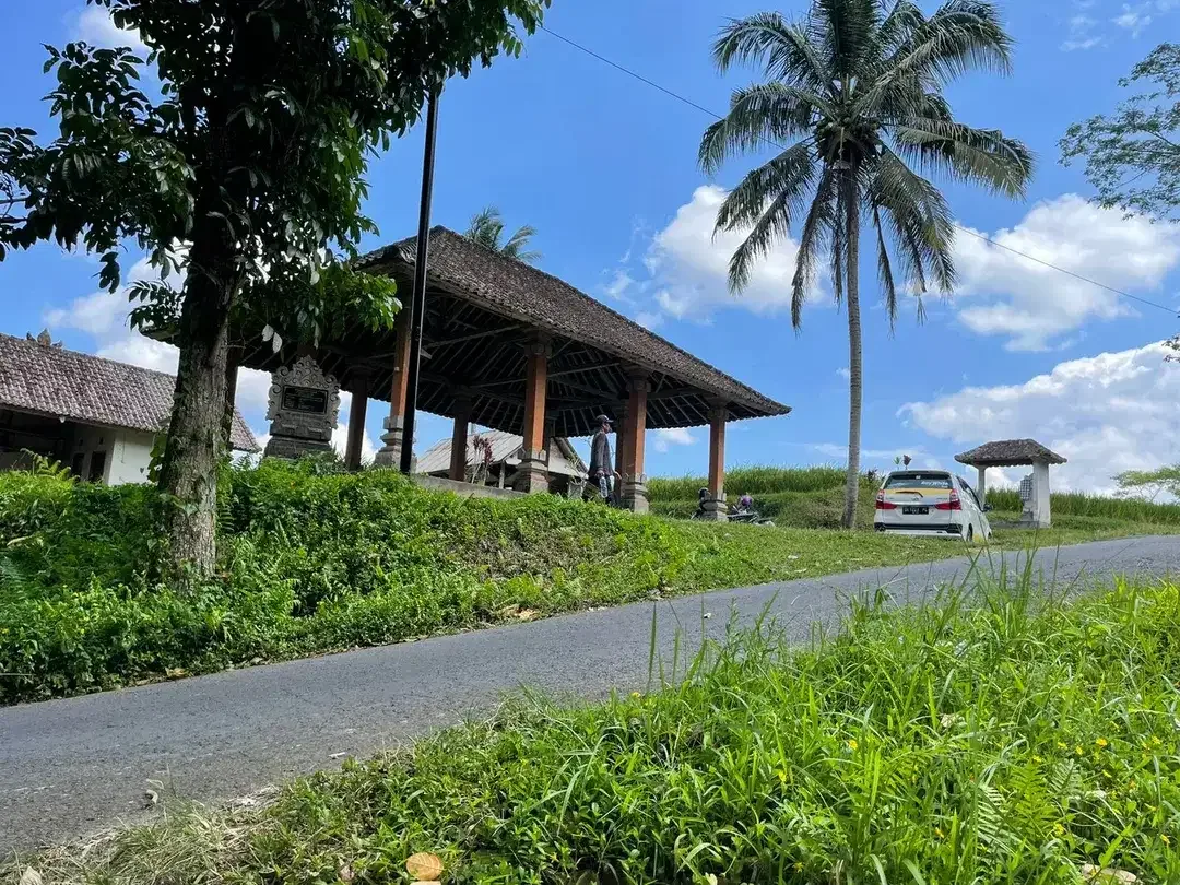 Leasehold land 8857 Sqm In Great Location Ubud - Image 3 of 10
