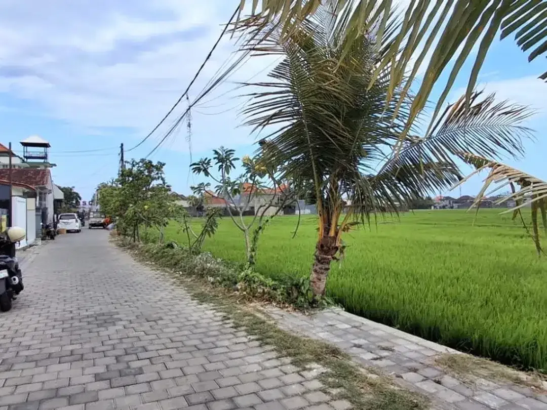 Disewakan Gudang Siap Pakai View Sawah di Pedungan, Densel - Image 6 of 6
