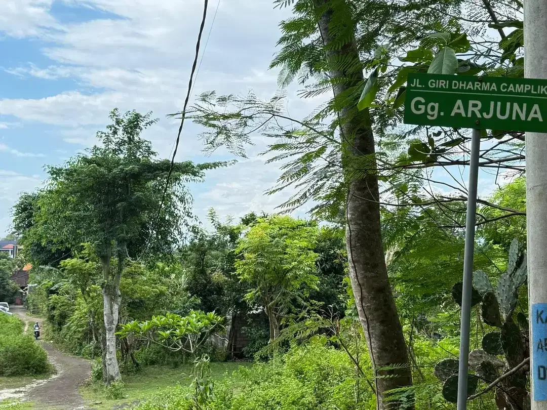 Dijual Tanah 250m2 Lokasi Di Area Dekat GWK Bali - Image 5 of 8